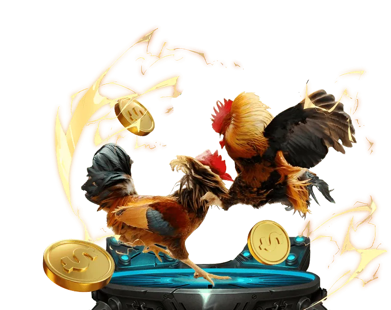 Tổng quan về các trận đá gà trực tuyến tại Fun88